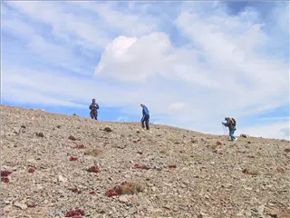 small_020901 coIMG_8271.webp